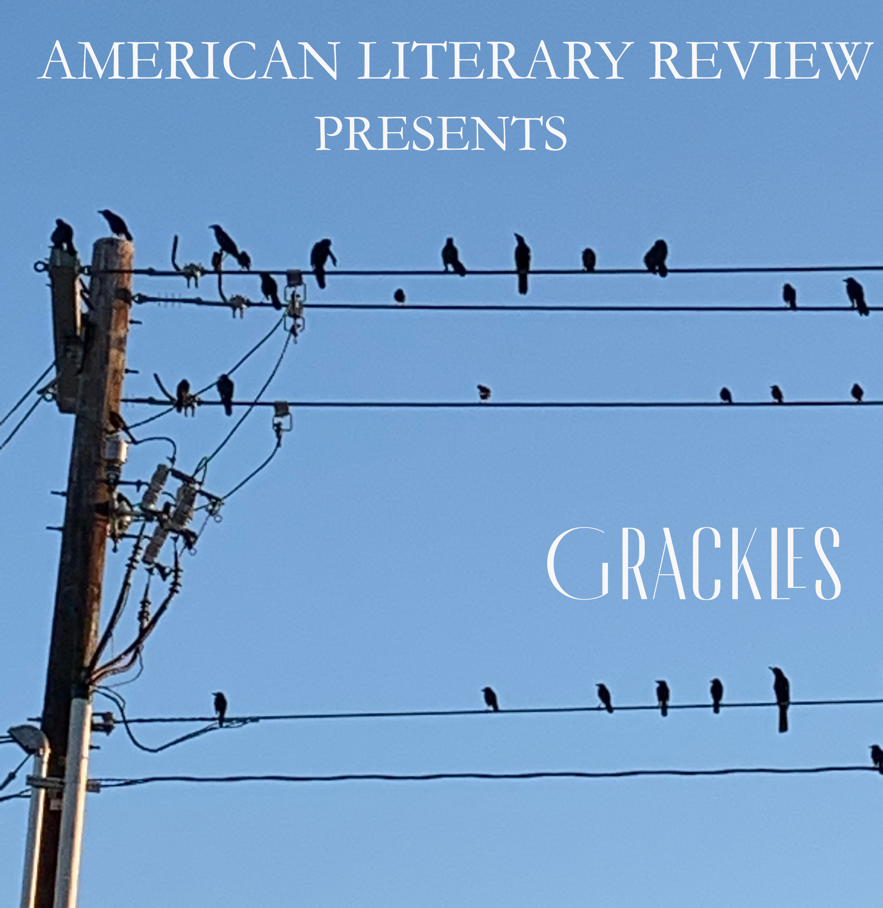 Grackles 2 American Literary Review