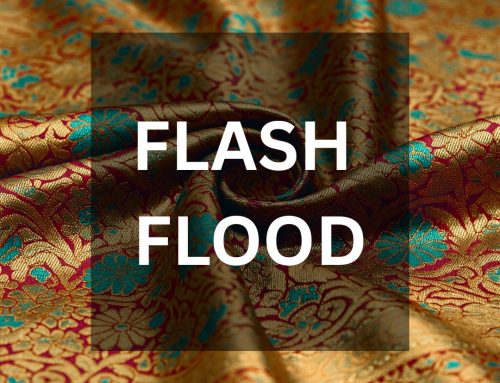 Flash Flood Winner—Shruti Goel