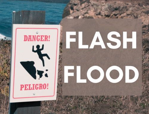 Flash Flood Winner—Bizz Coy